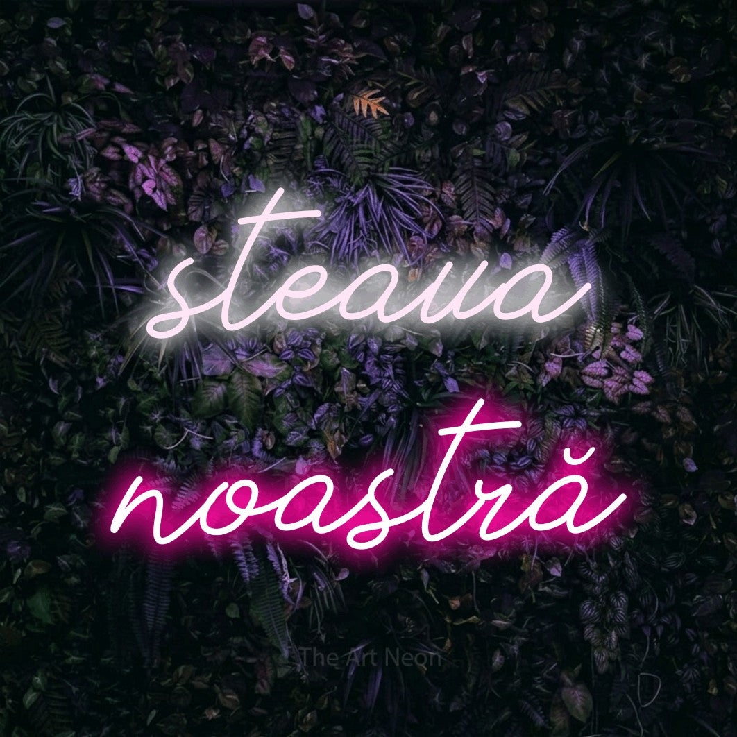 LED neon sign reading “steaua noastră”, arranged in two lines.