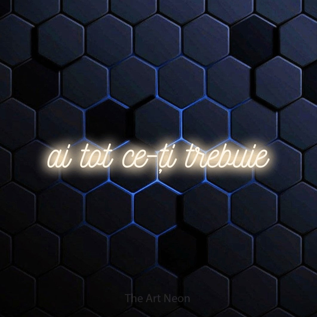 LED neon sign reading “ai tot ce-ți trebuie”, arranged in a single line.