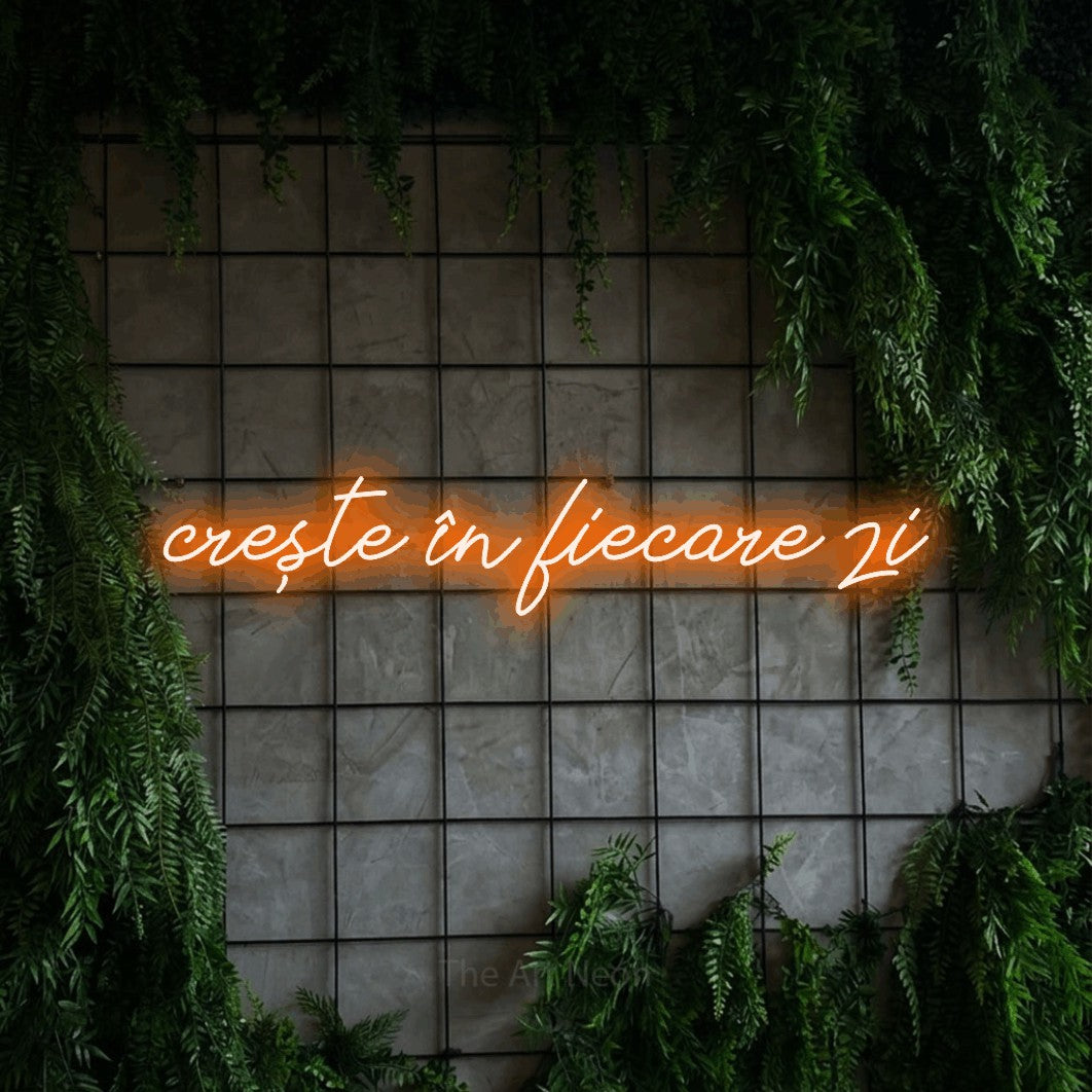 LED neon sign reading “crește în fiecare zi”, arranged in a single line.