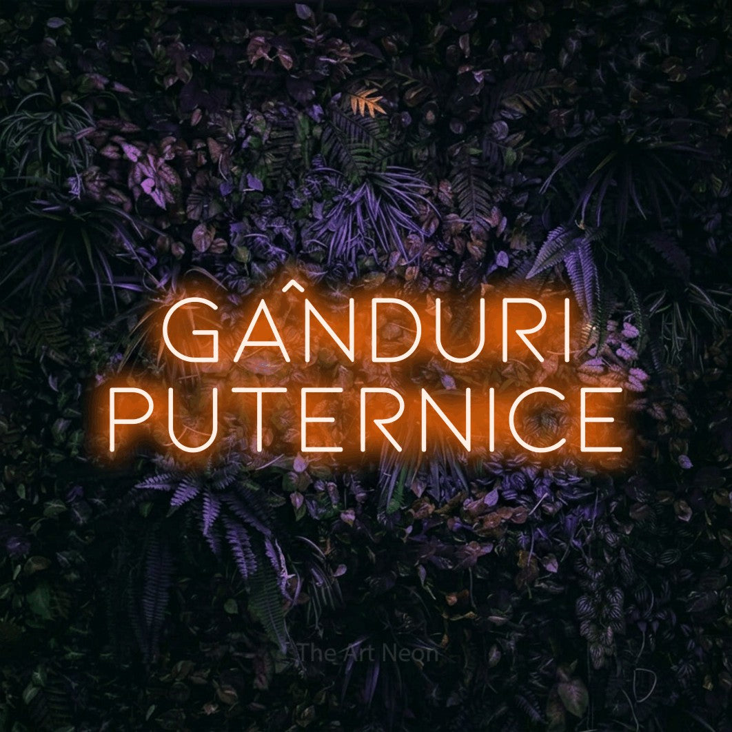 LED neon sign reading “GÂNDURI PUTERNICE”, arranged in two lines.