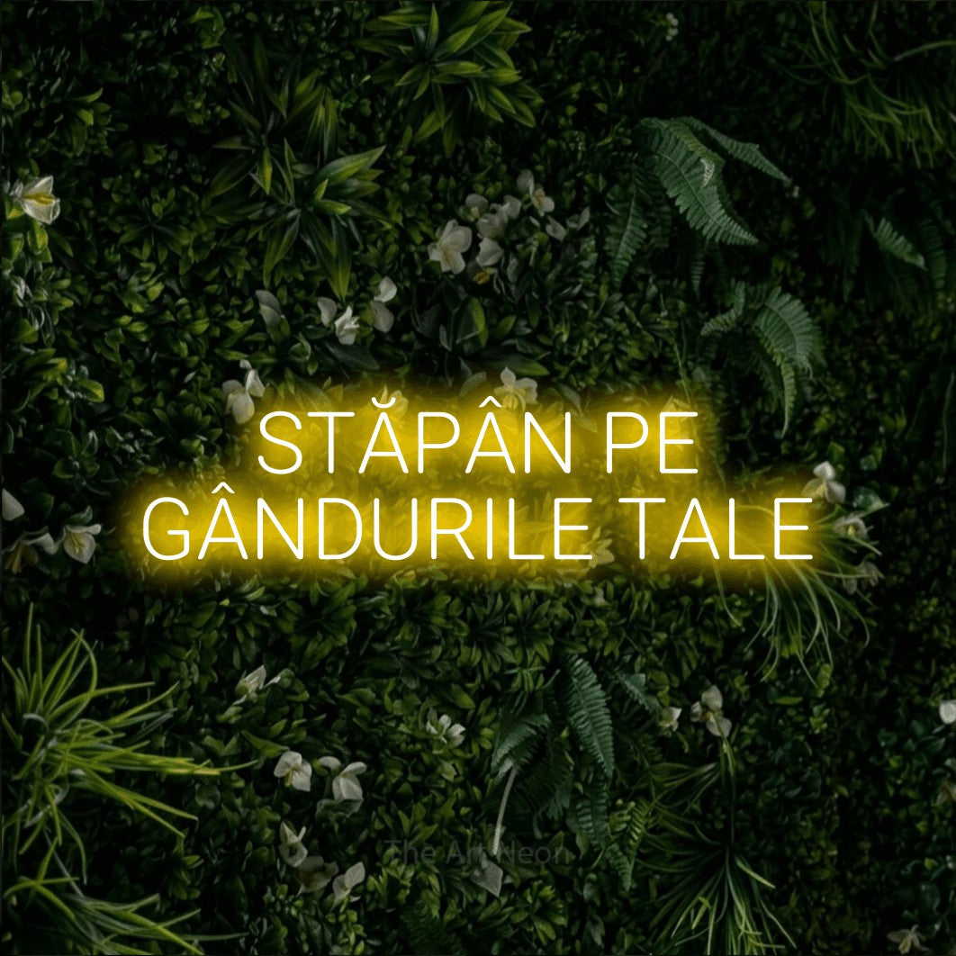 LED neon sign reading “STĂPÂN PE GÂNDURILE TALE”, arranged in two lines.