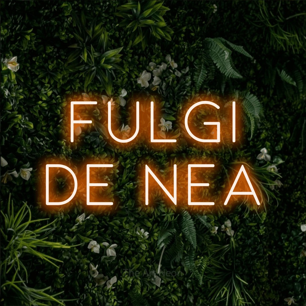 LED neon sign reading “fulgi de nea”, arranged in two lines.