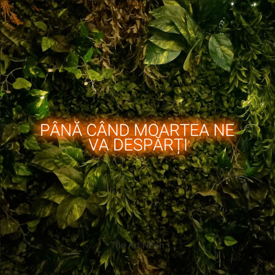 LED neon sign reading “PÂNĂ CÂND MOARTEA NE VA DESPĂRȚI”, arranged in two lines.