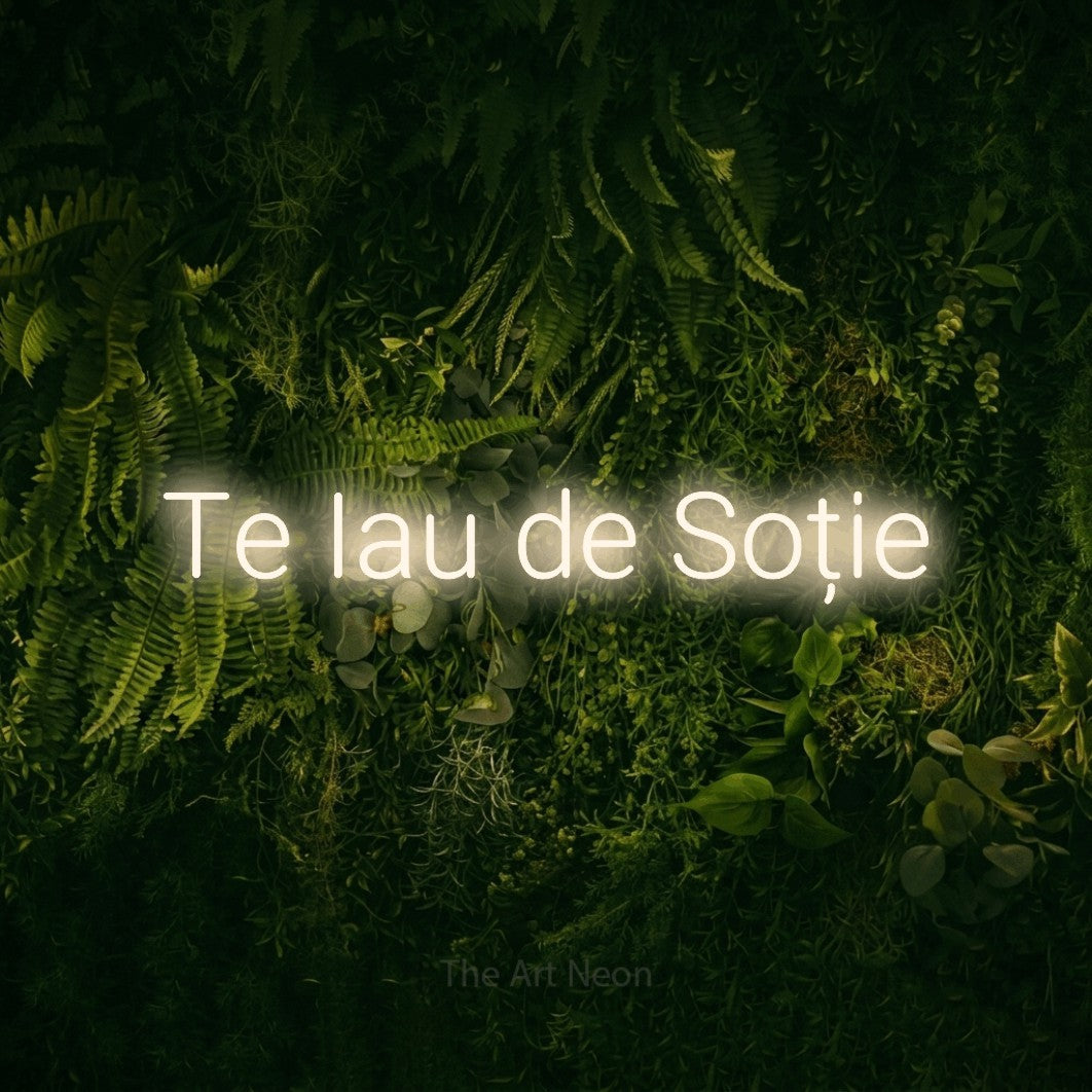 LED neon sign reading “Te Iau de Soție”, arranged in a single line.
