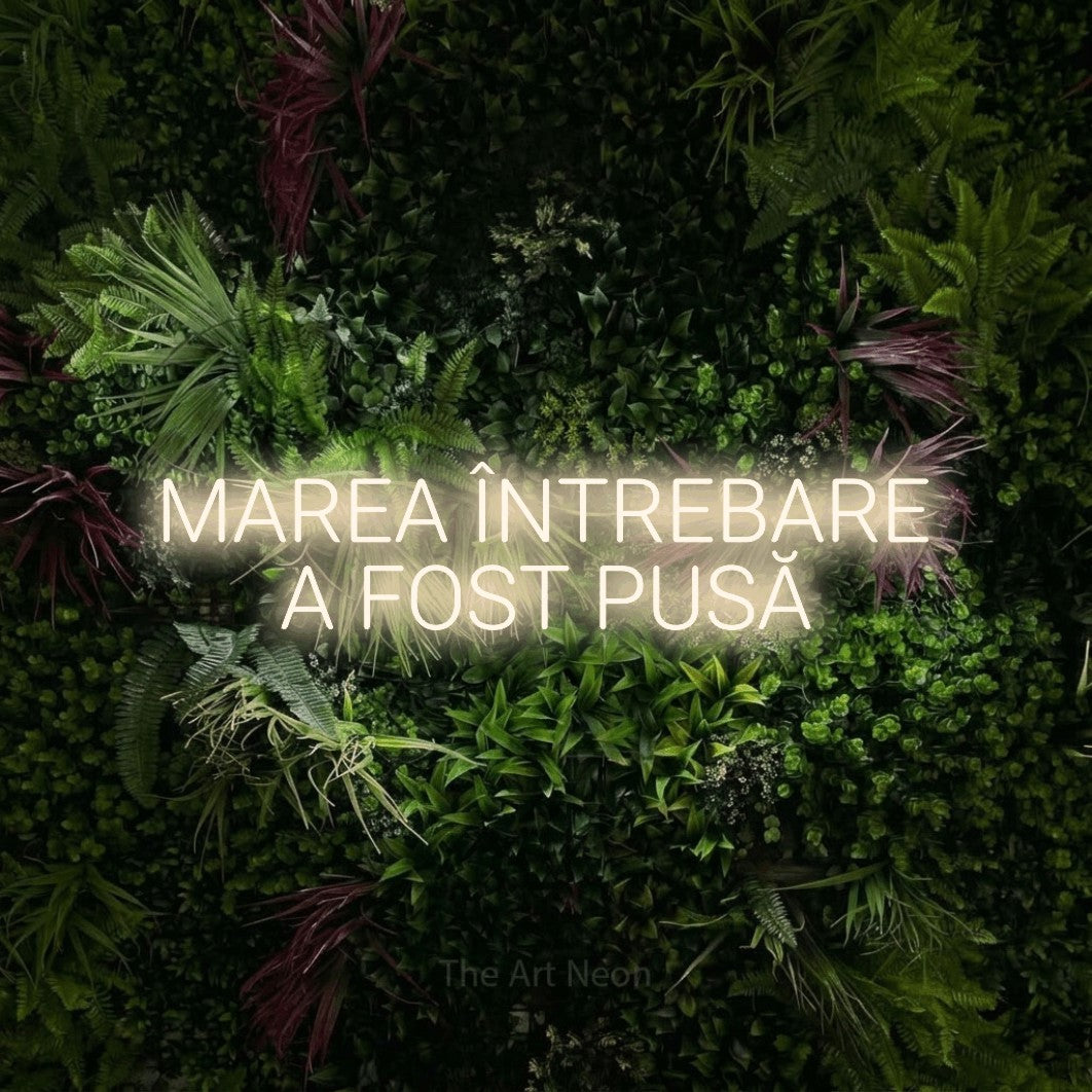 LED neon sign reading “MAREA ÎNTREBARE A FOST PUSĂ”, arranged in two lines.