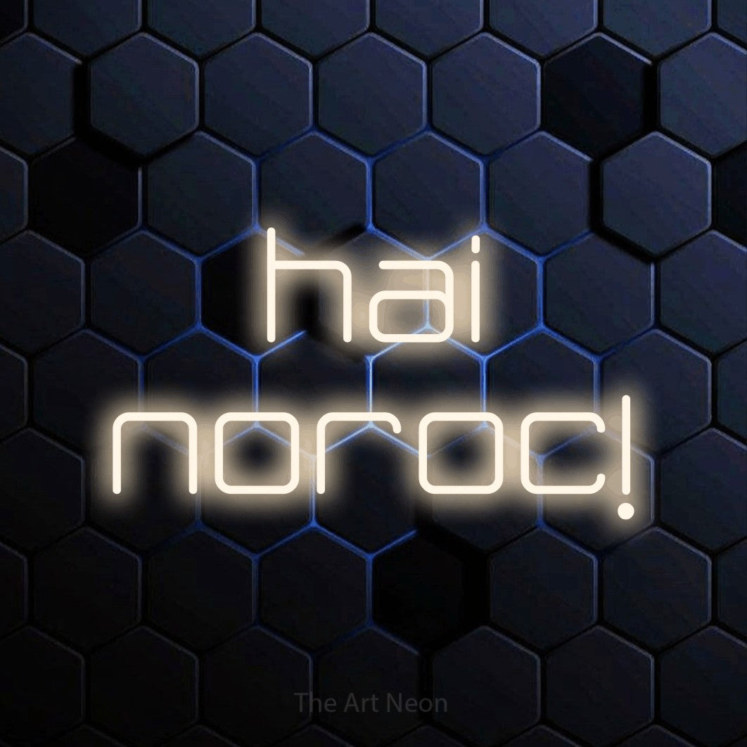 LED neon sign reading “hai noroc!”, arranged in two lines.