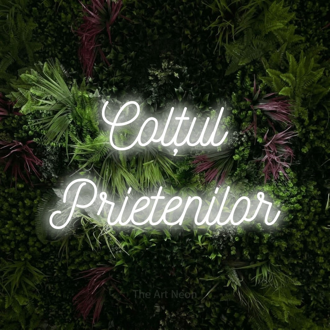 LED neon sign reading “Colțul Prietenilor”, arranged in two lines.