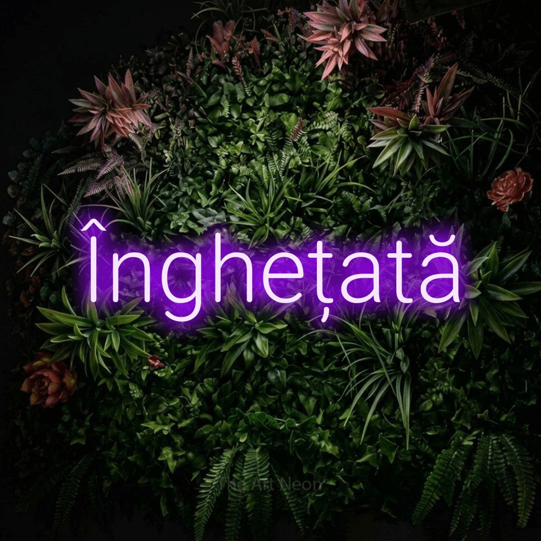 LED neon sign reading “Înghețată”, arranged in a single line.
