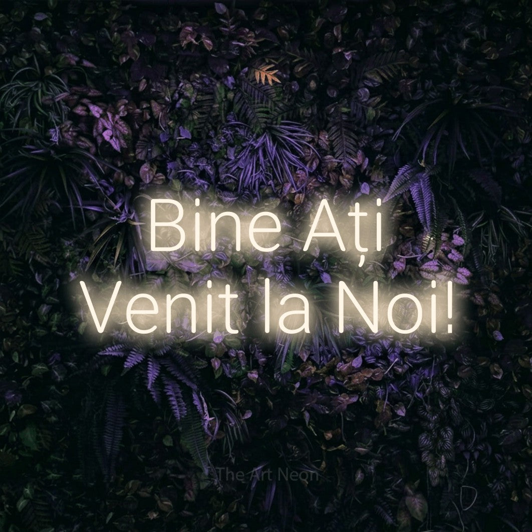 LED neon sign reading “Bine Ați Venit la Noi!”, arranged in two lines.