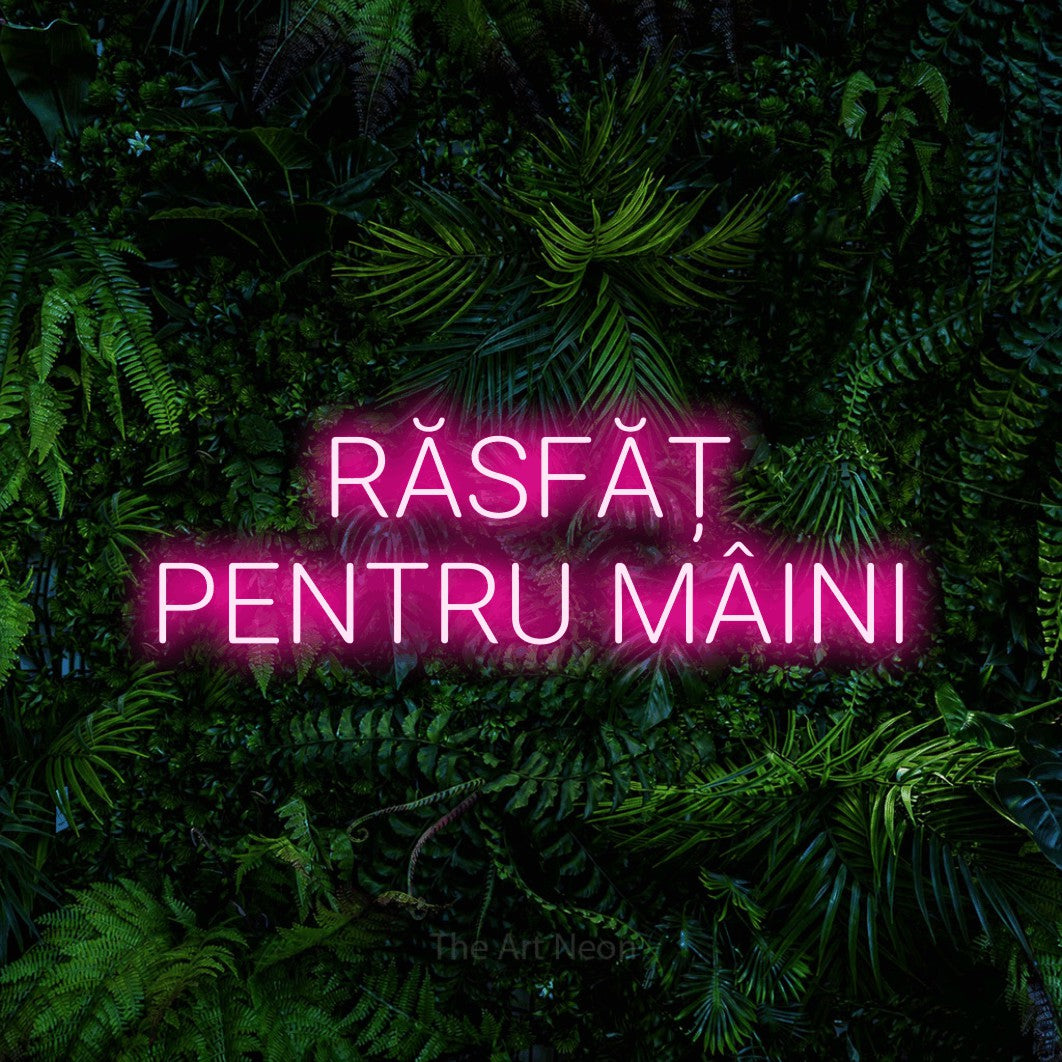 LED neon sign reading “RĂSFĂȚ PENTRU MÂINI”, arranged in two lines.
