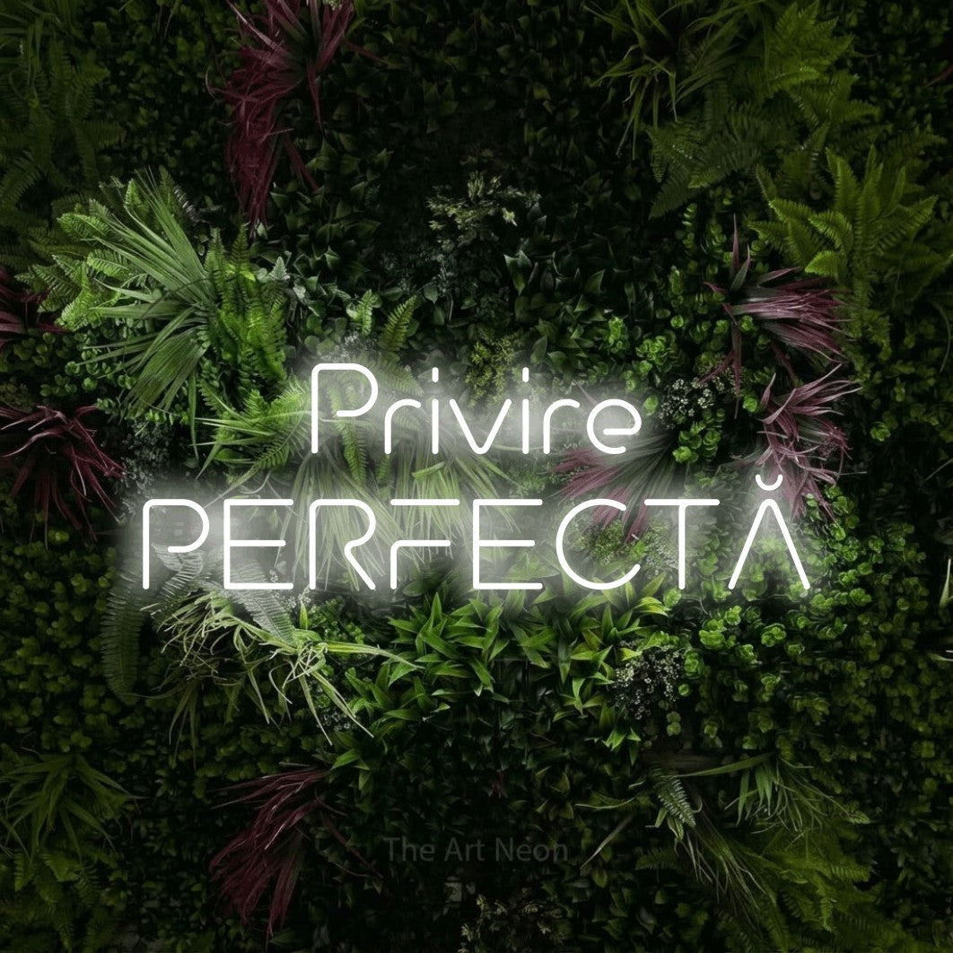 LED neon sign reading “Privire PERFECTĂ”, arranged in two lines.