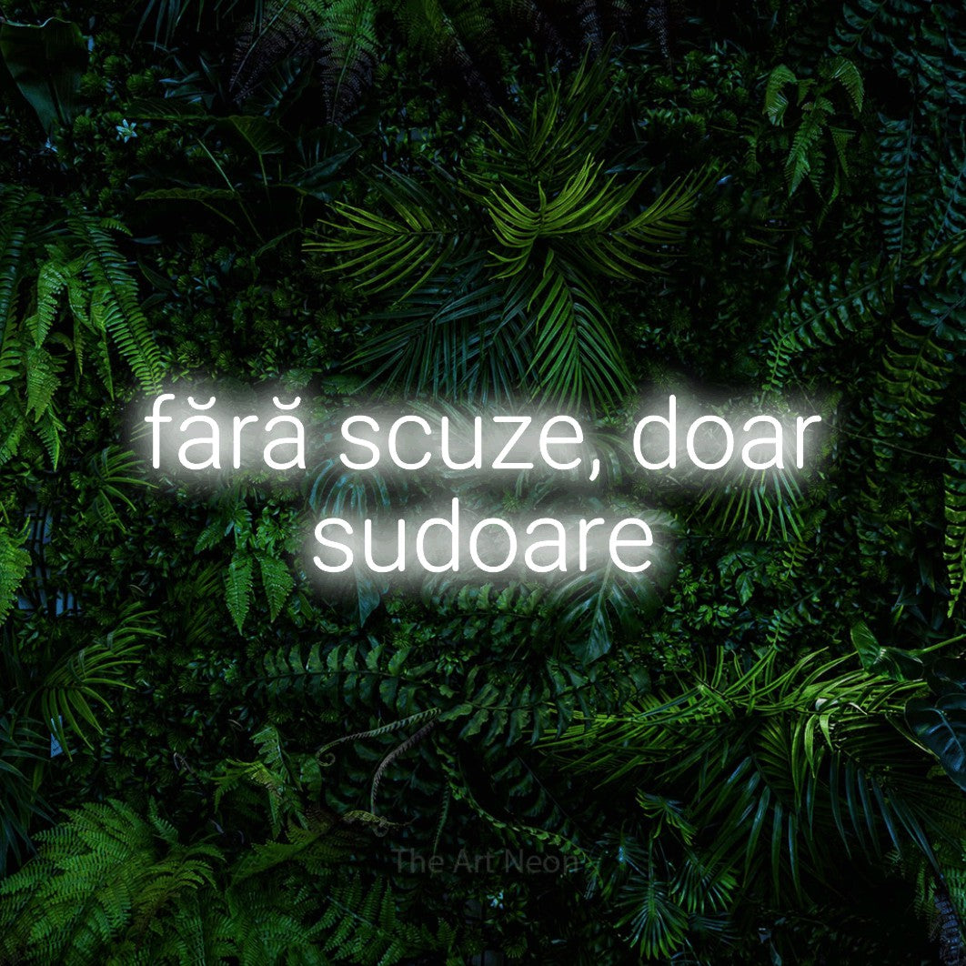 LED neon sign reading “fără scuze, doar sudoare”, arranged in two lines.