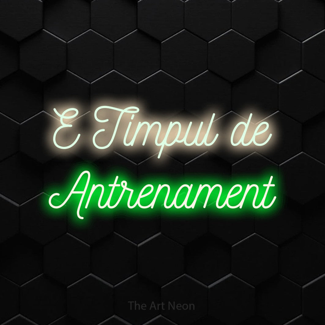 LED neon sign reading “E Timpul de Antrenament”, arranged in two lines.
