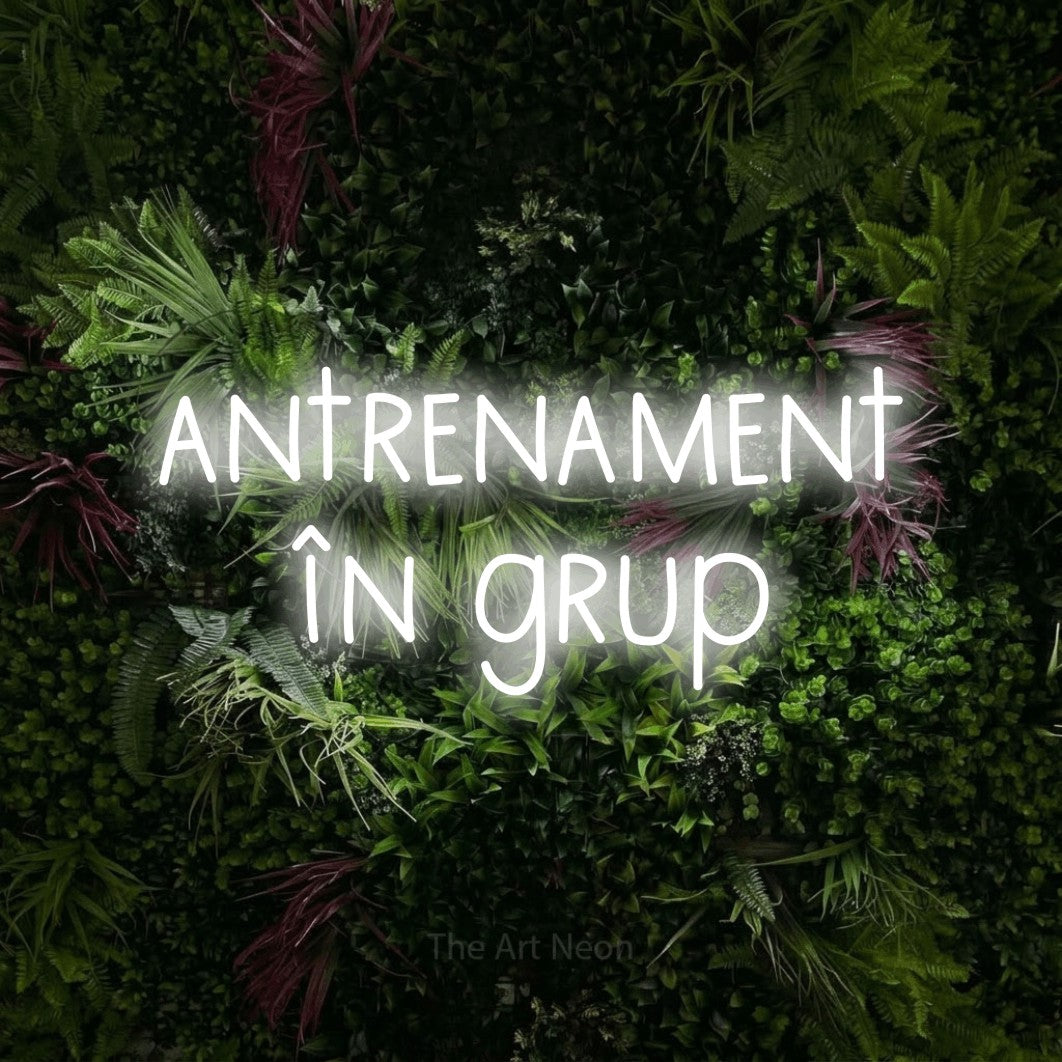 LED neon sign reading “antrenament în grup”, arranged in two lines.