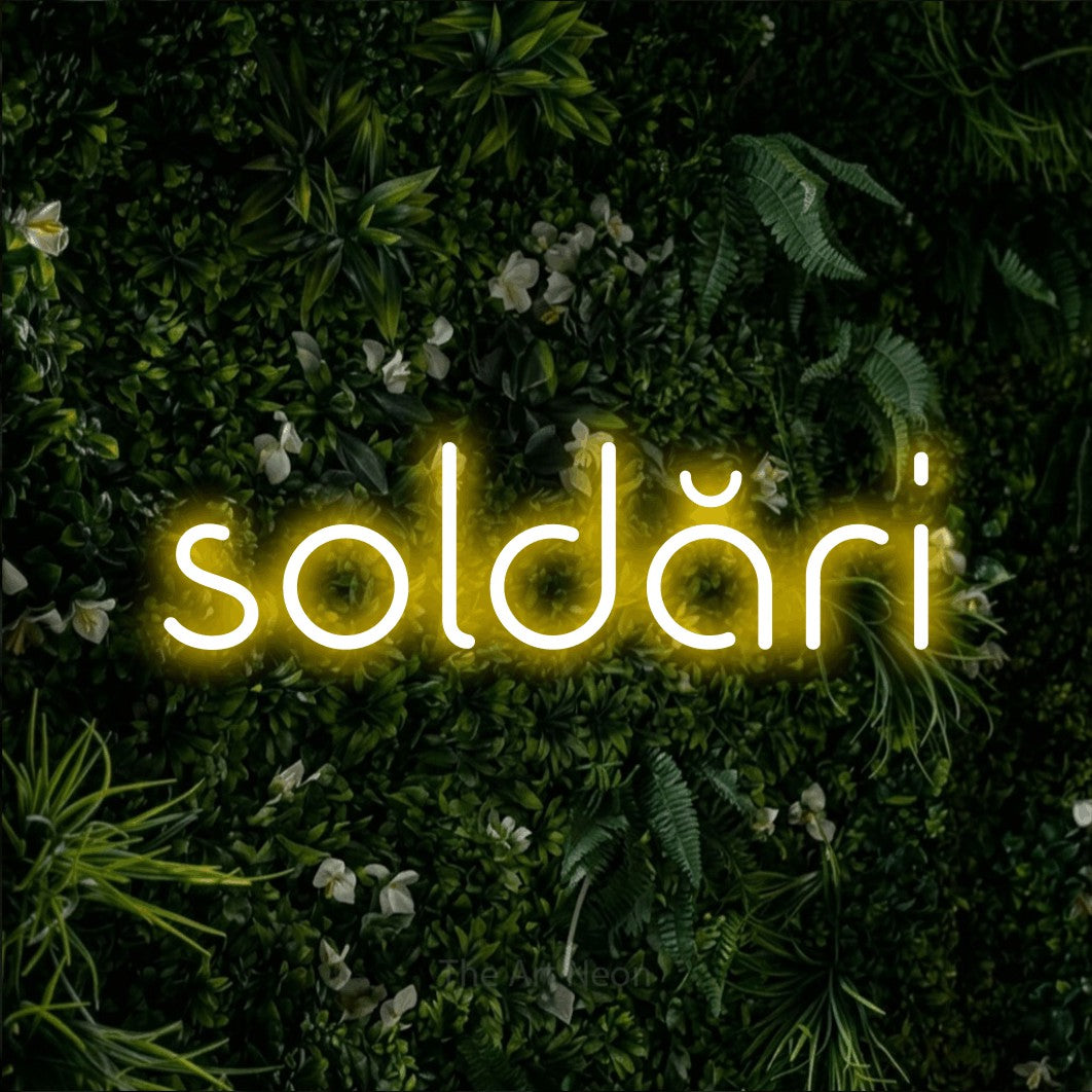 LED neon sign reading “soldări”, arranged in a single line.