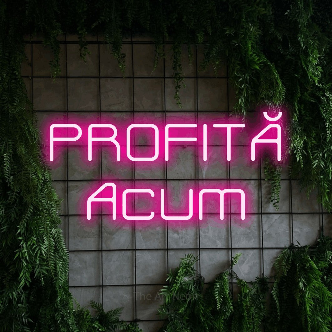 LED neon sign reading “PROFITĂ Acum”, arranged in two lines.