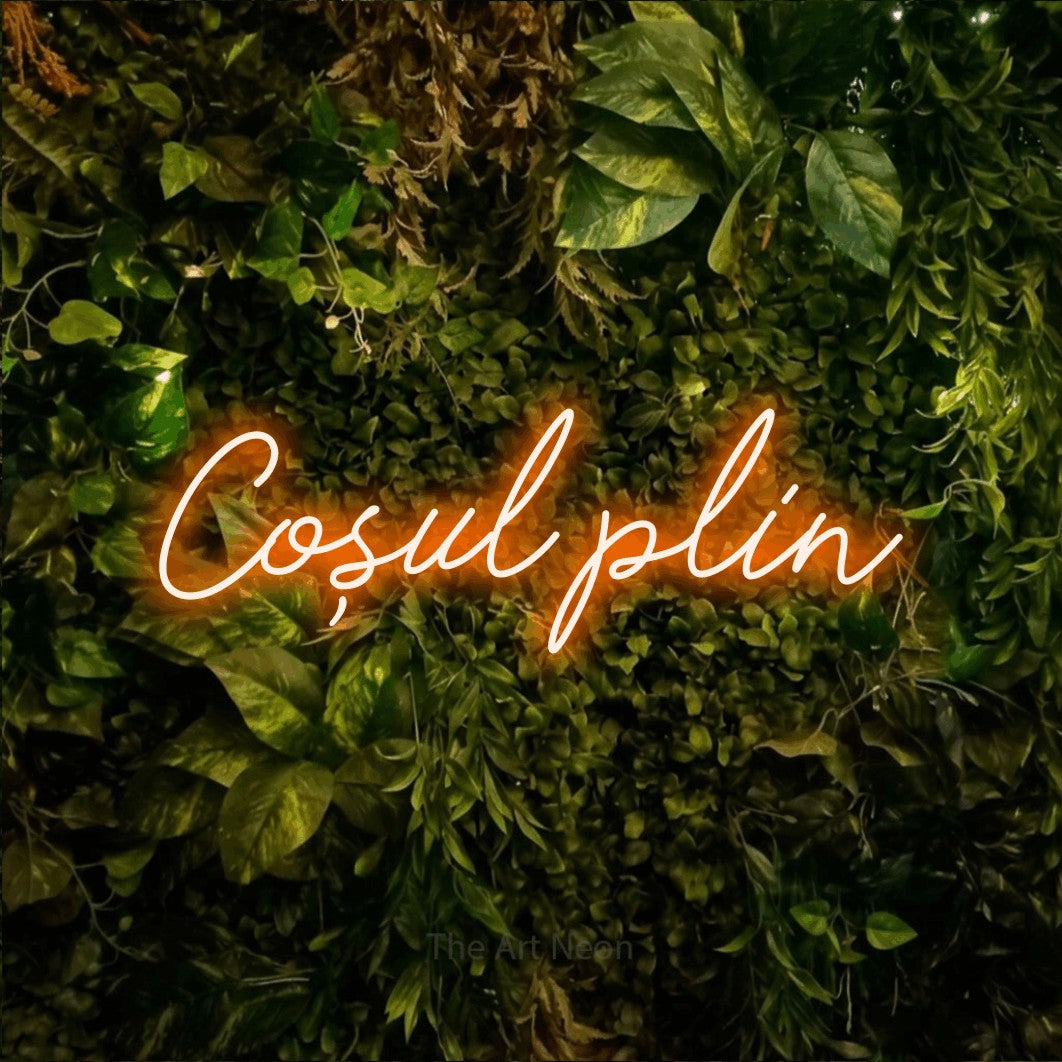 LED neon sign reading “Coșul plin”, arranged in a single line.