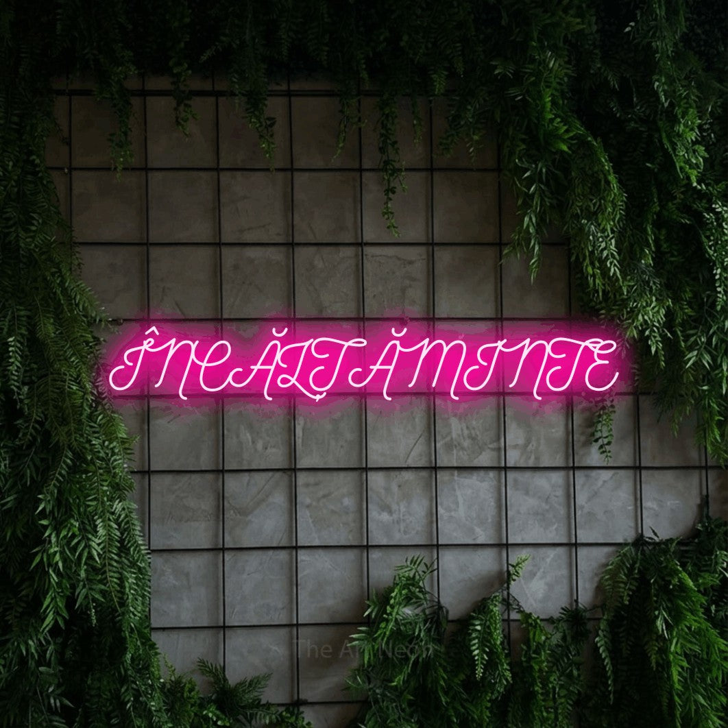 LED neon sign reading “ÎNCĂLȚĂMINTE”, arranged in a single line.