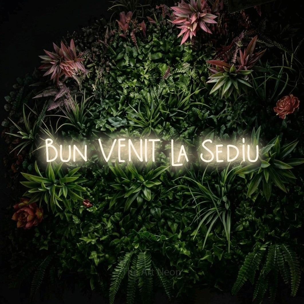 LED neon sign reading “Bun VENIT la Sediu”, arranged in a single line.