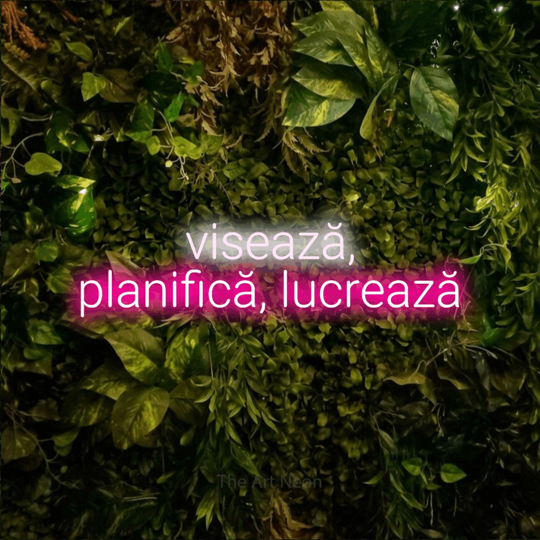 LED neon sign reading “visează, planifică, lucrează”, arranged in two lines.