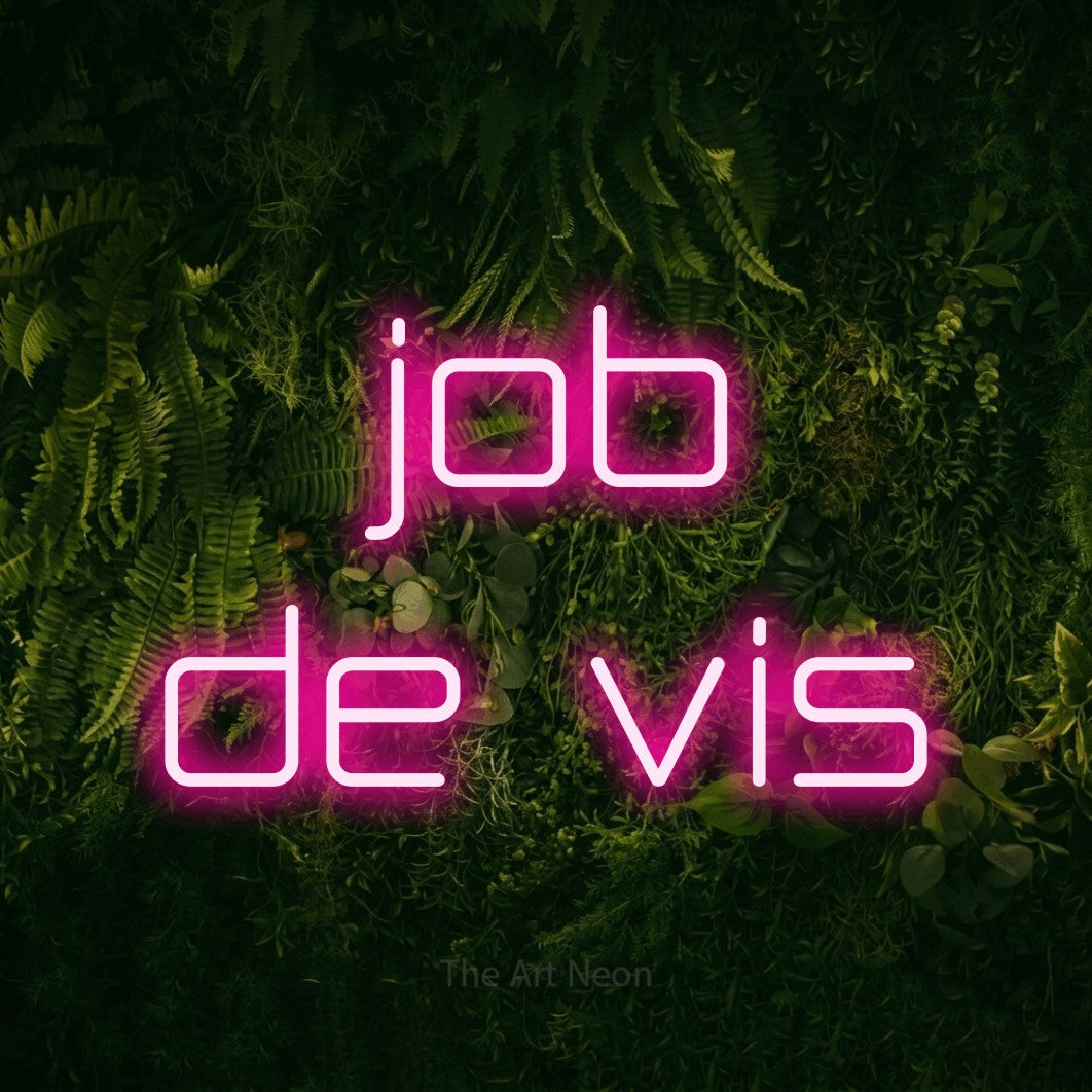 LED neon sign reading “job de vis”, arranged in two lines.