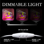 Ramen – LED-Neonschild (5 V USB)