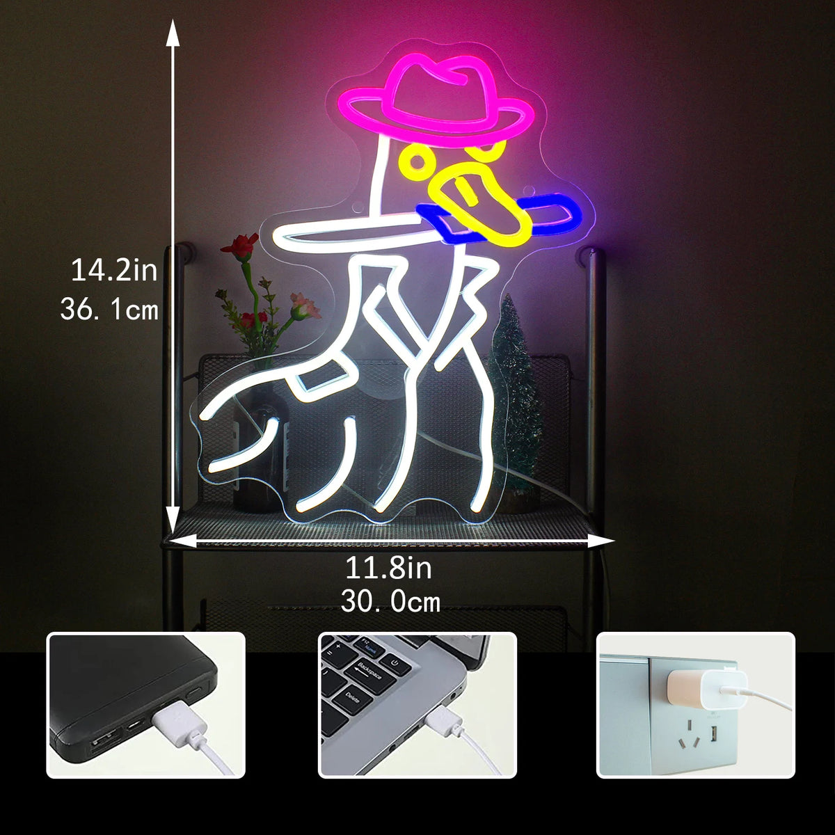 Kauboipart – LED-neoonsilt (5 V USB)