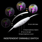 Fata in volo e luna – insegna al neon LED (5 V USB)