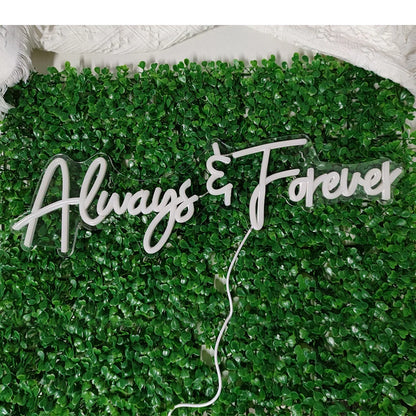 Always Forever 5V Mini USB LED Neon Sign - Budget Friendly