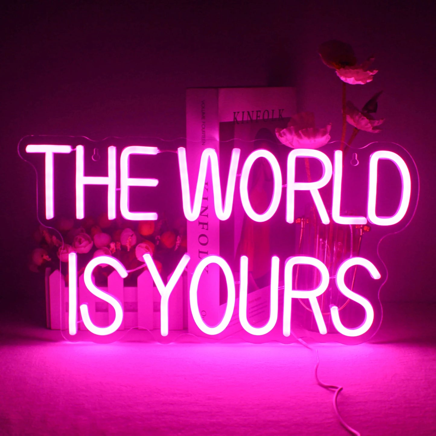 Ineonlife The World Is Yours 5V Mini USB LED Neon Sign - Budget Friendly