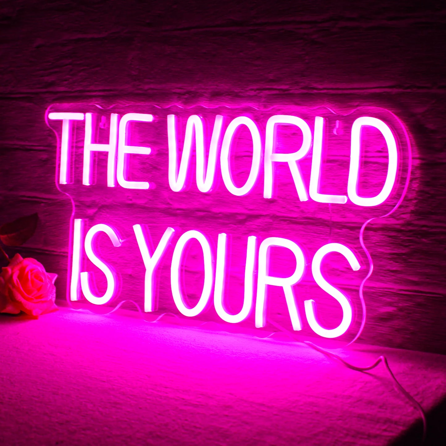 Ineonlife The World Is Yours 5V Mini USB LED Neon Sign - Budget Friendly