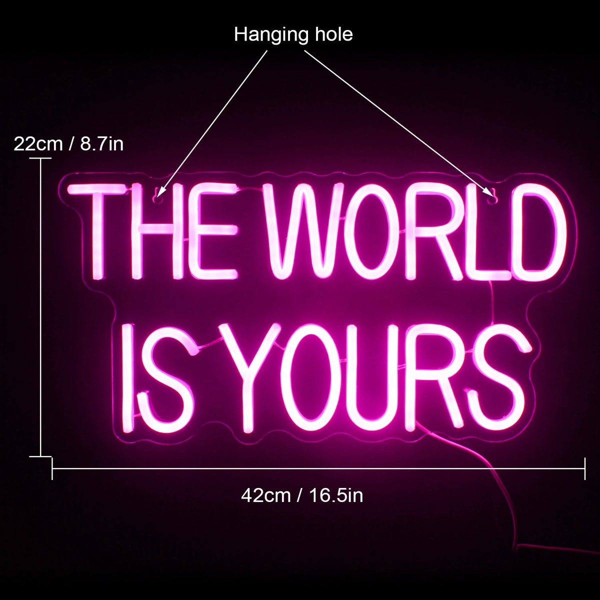 The World Is Yours – LED-neon felirat (5 V USB)