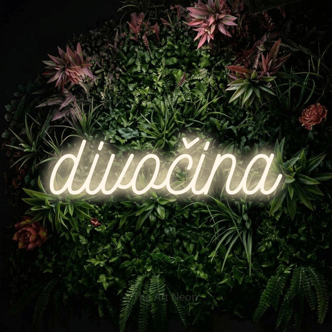 LED neon sign reading “divočina”, arranged in a single line.