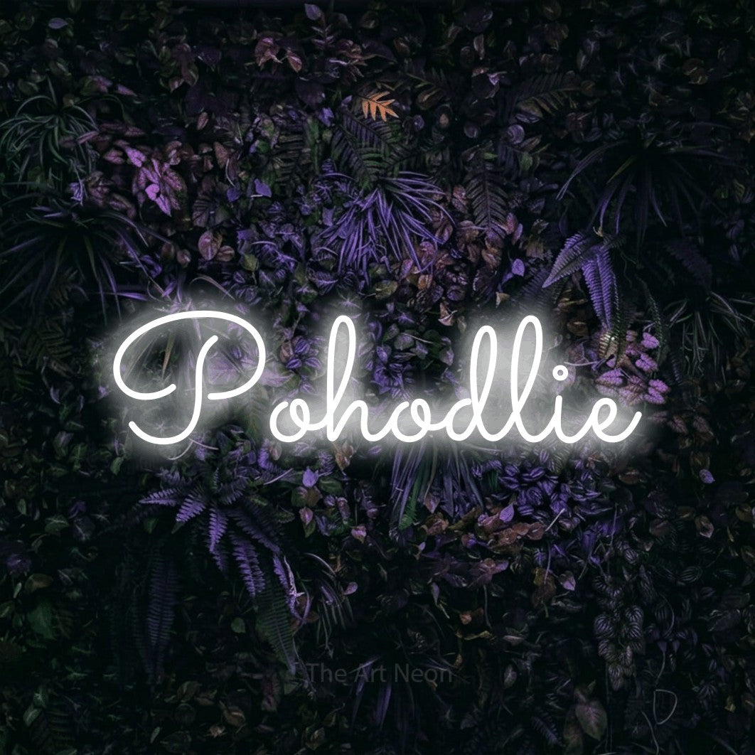 LED neon sign reading “Pohodlie”, arranged in a single line.