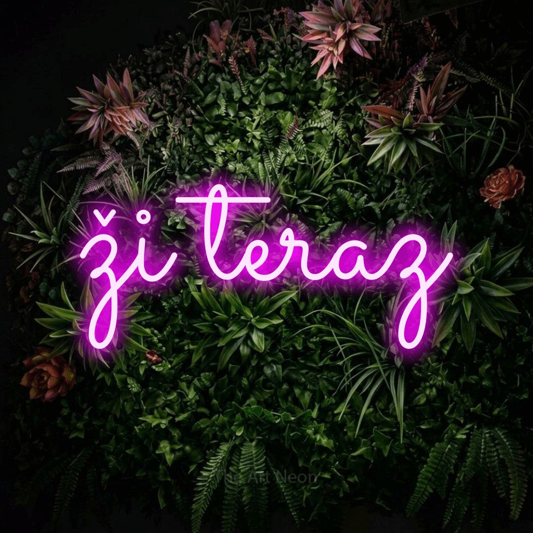 LED neon sign reading “ži teraz”, arranged in a single line.