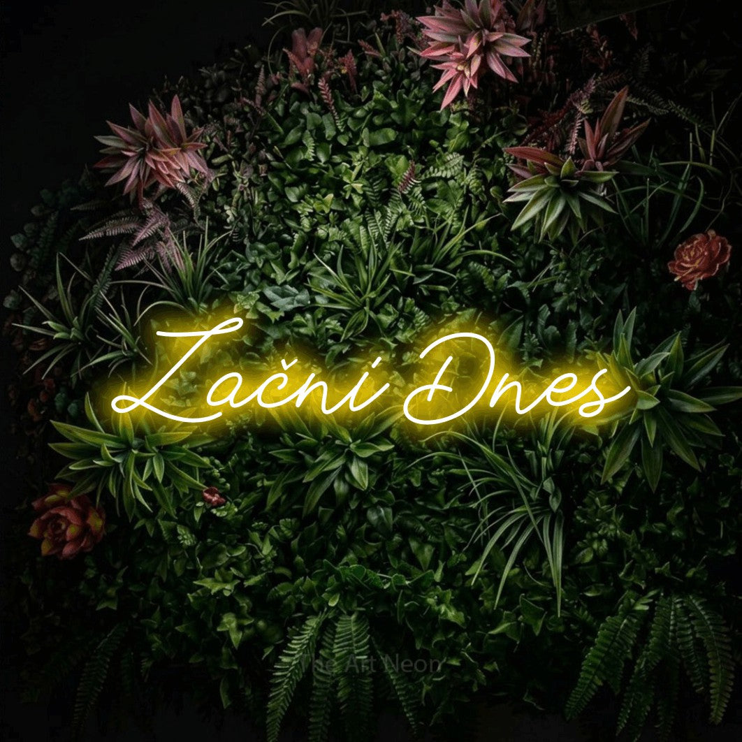 LED neon sign reading “Začni Dnes”, arranged in a single line.