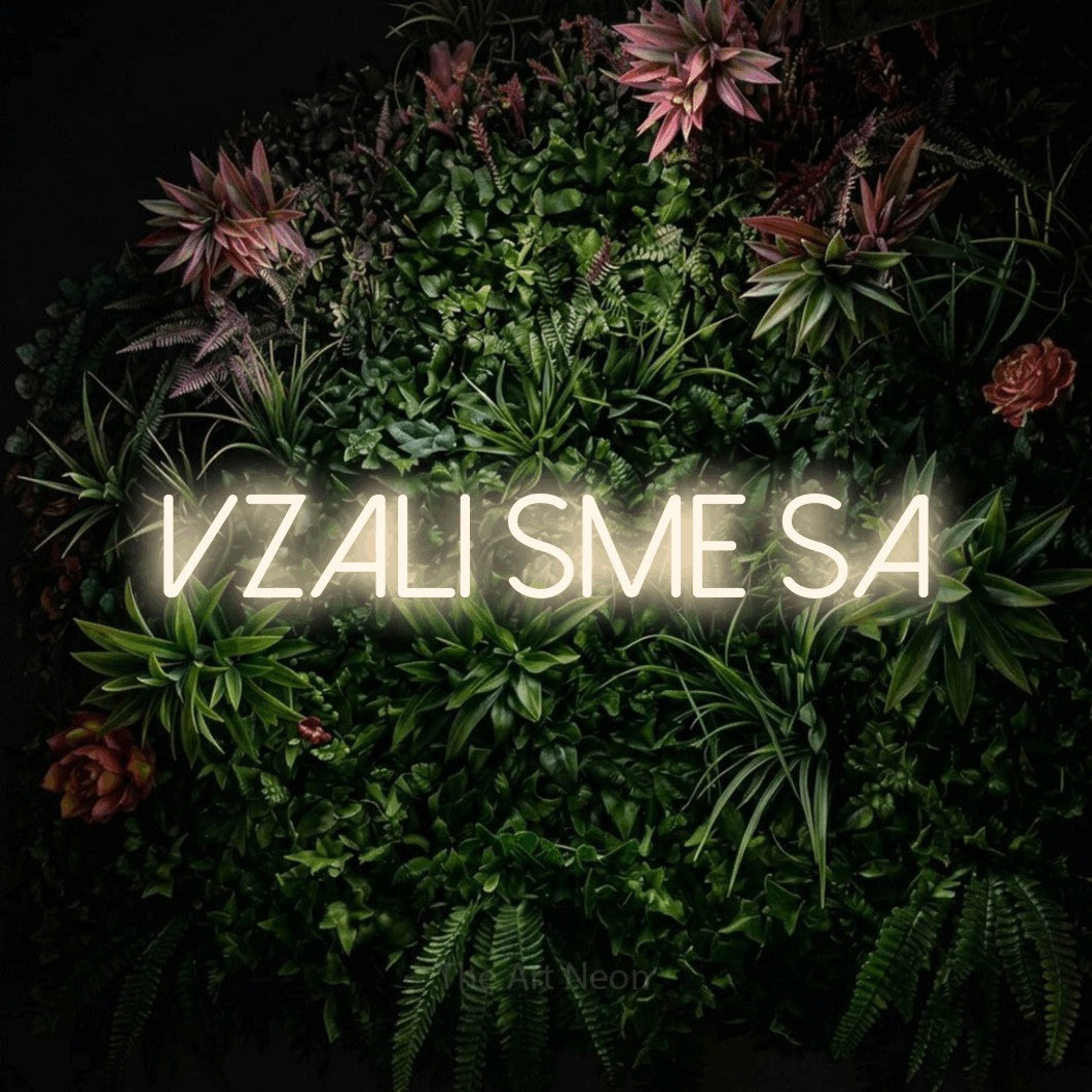 LED neon sign reading “VZALI sme sa”, arranged in a single line.