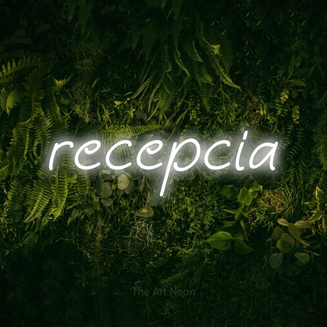 LED neon sign reading “recepcia”, arranged in a single line.