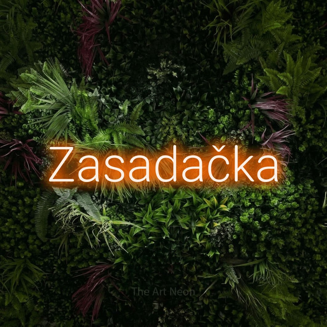 LED neon sign reading “Zasadačka”, arranged in a single line.