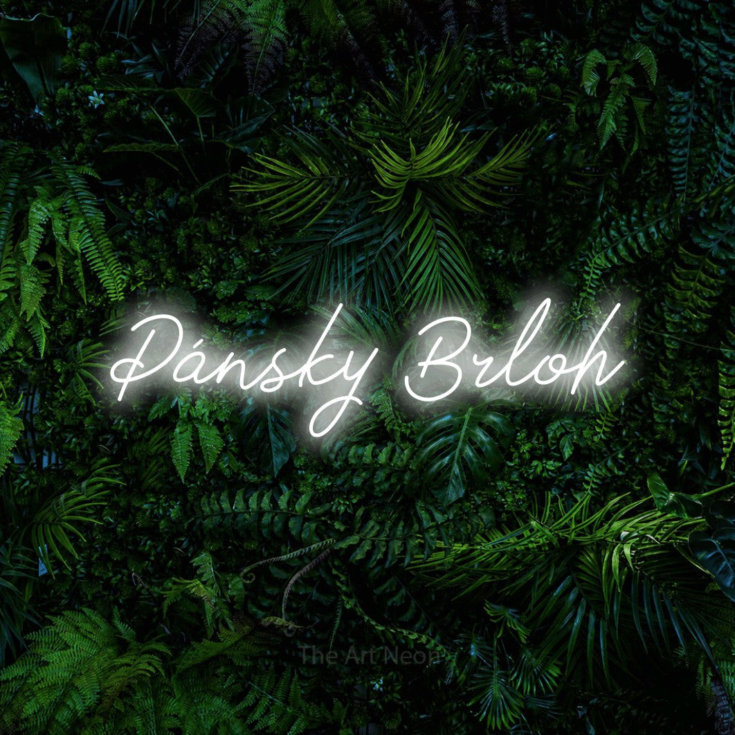LED neon sign reading “Pánsky Brloh”, arranged in a single line.