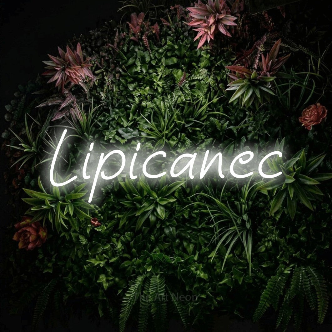 LED neon sign reading “Lipicanec”, arranged in a single line.