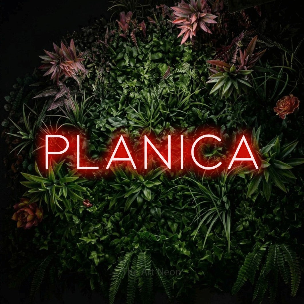 LED neon sign reading “planica”, arranged in a single line.