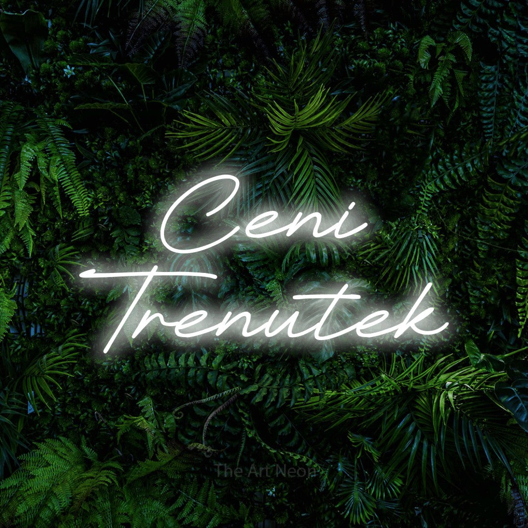 LED neon sign reading “Ceni Trenutek”, arranged in two lines.