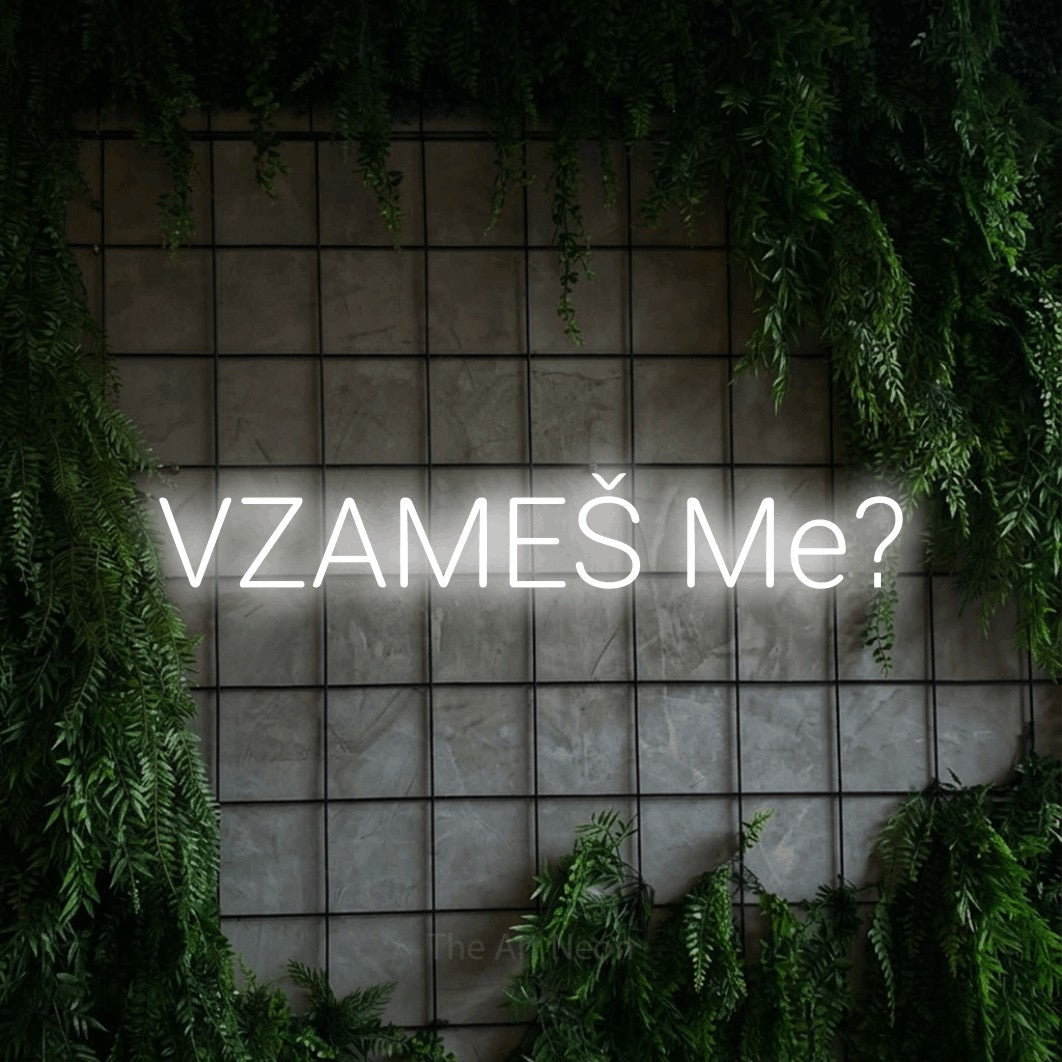 LED neon sign reading “VZAMEŠ Me?”, arranged in a single line.