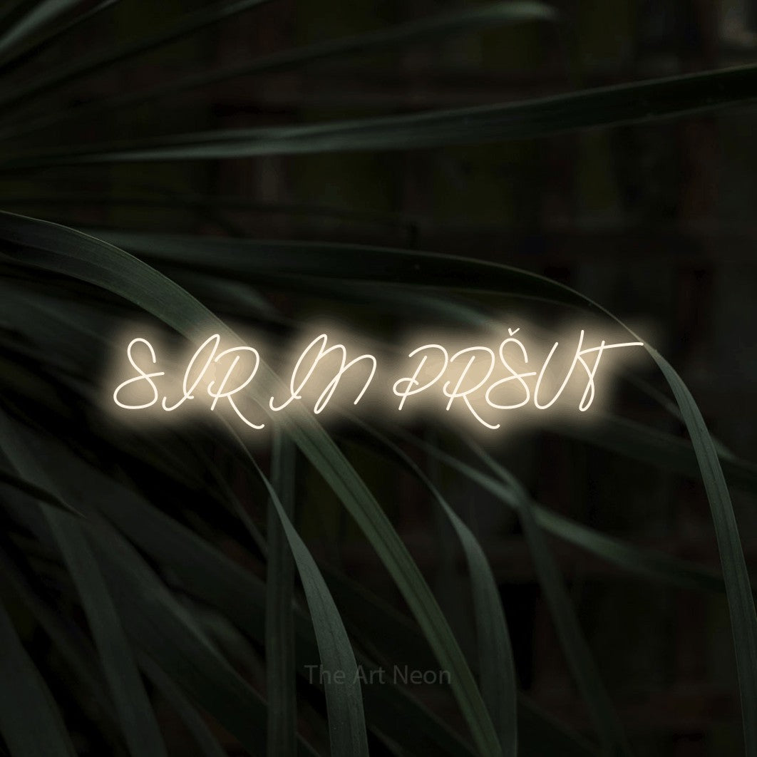 LED neon sign reading “SIR IN PRŠUT”, arranged in a single line.