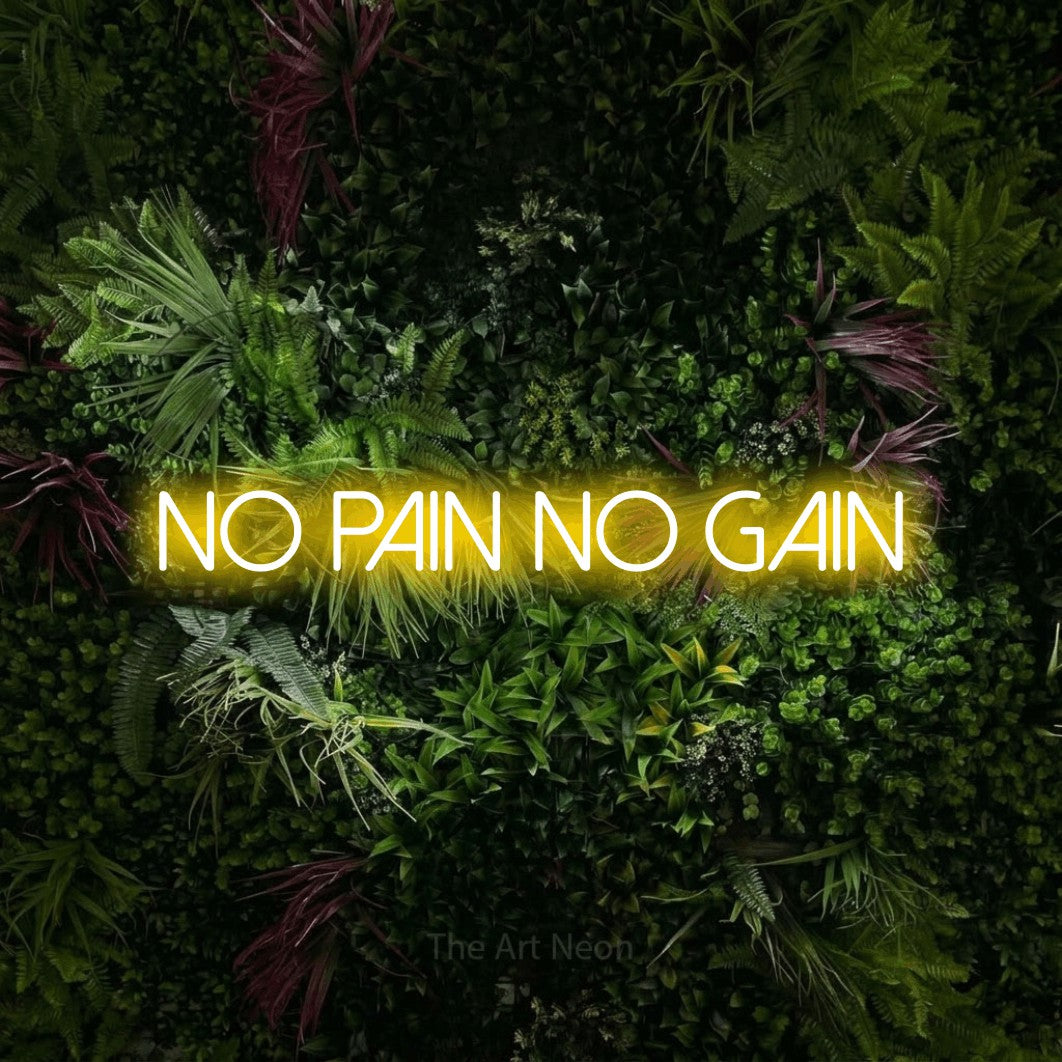 LED neon sign reading “No Pain No Gain”, arranged in a single line.