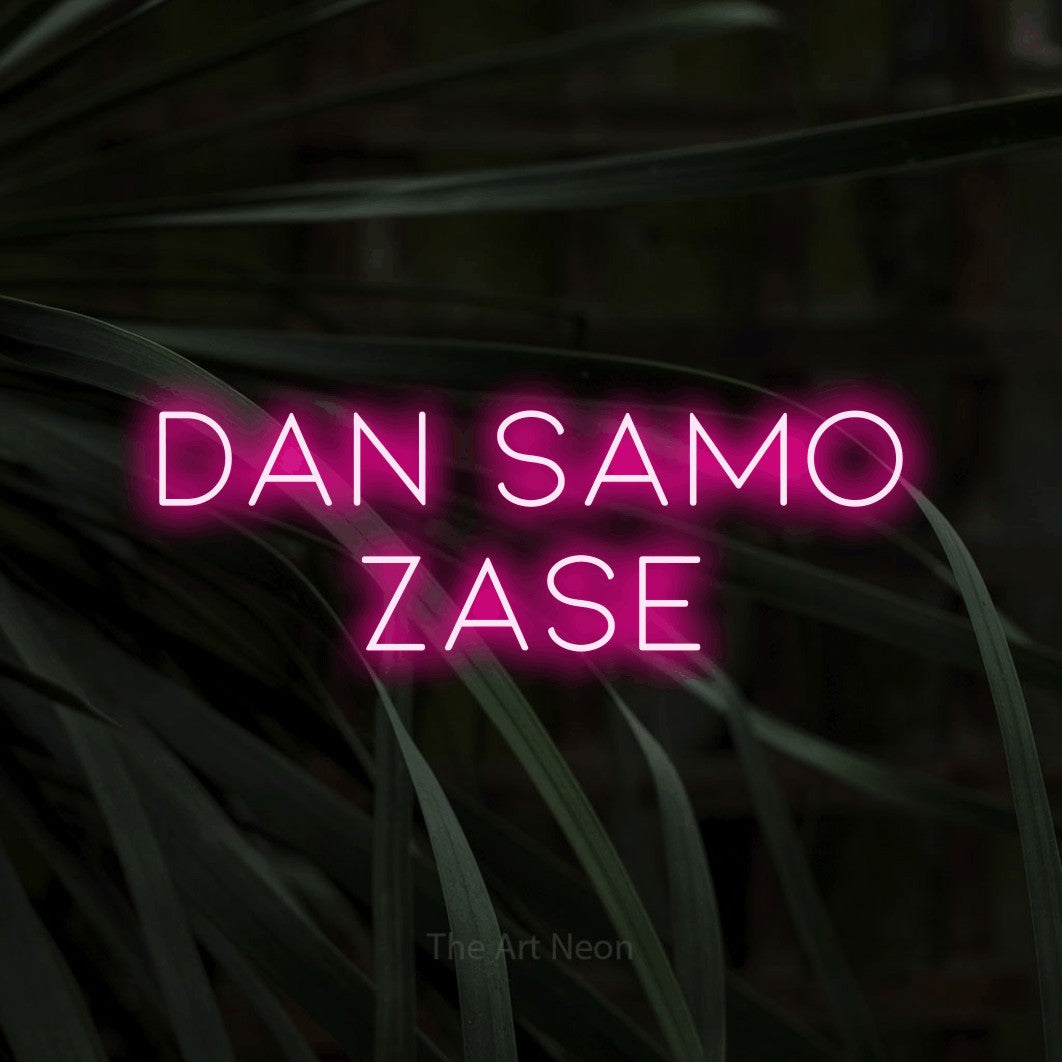 LED neon sign reading “Dan SAMO Zase”, arranged in two lines.