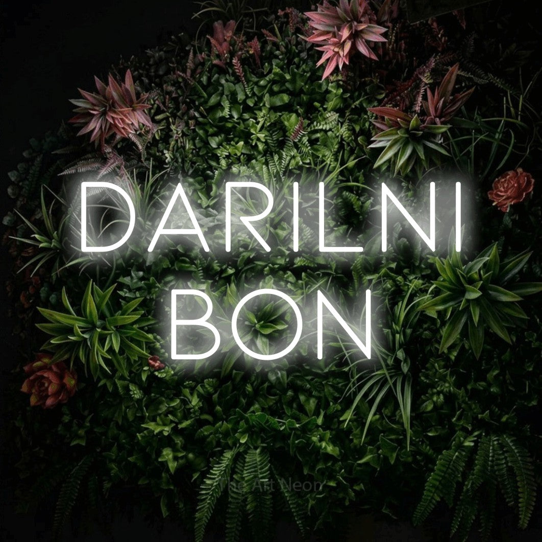 LED neon sign reading “darilni bon”, arranged in two lines.