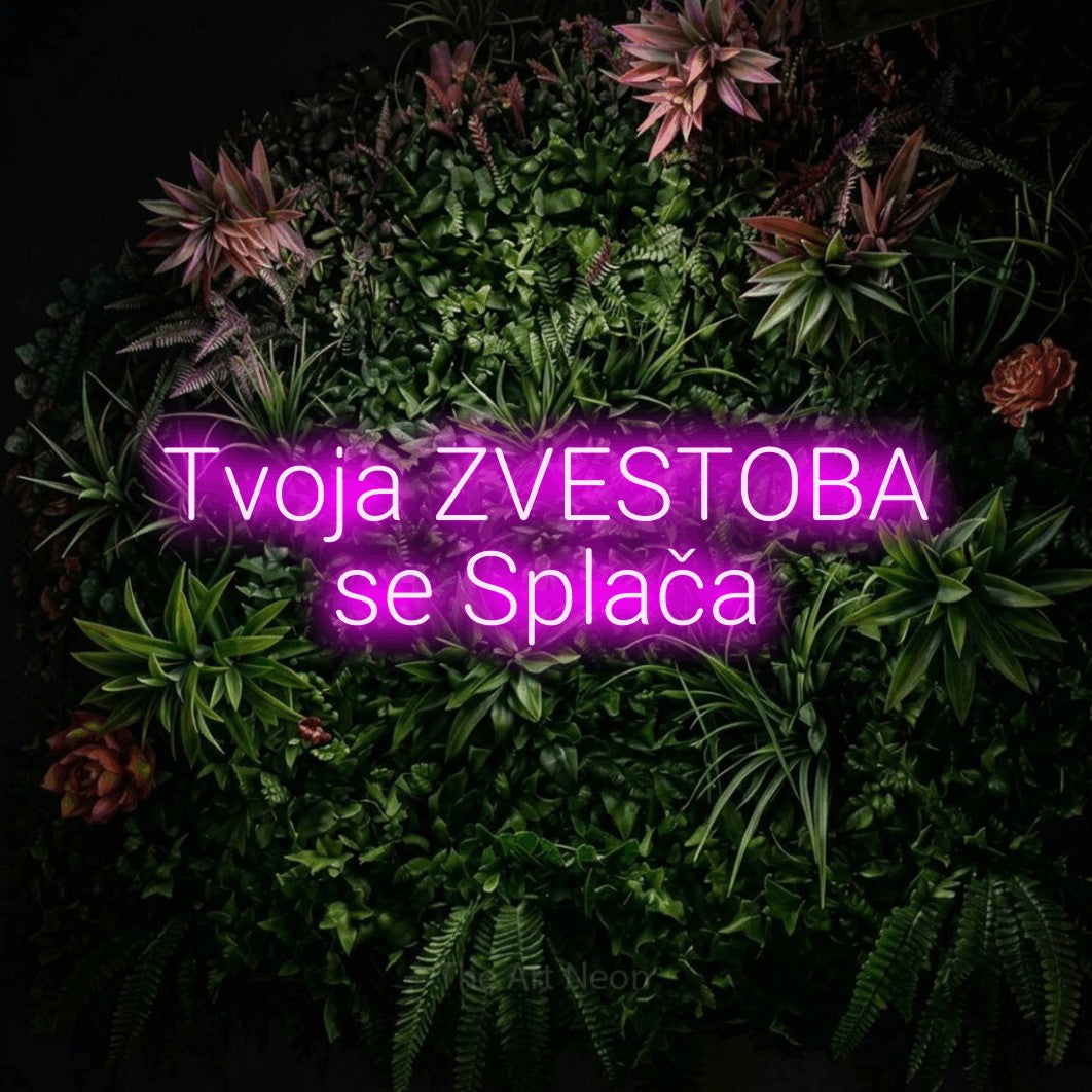 LED neon sign reading “Tvoja ZVESTOBA se Splača”, arranged in two lines.