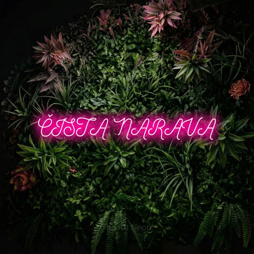 LED neon sign reading “ČISTA NARAVA”, arranged in a single line.